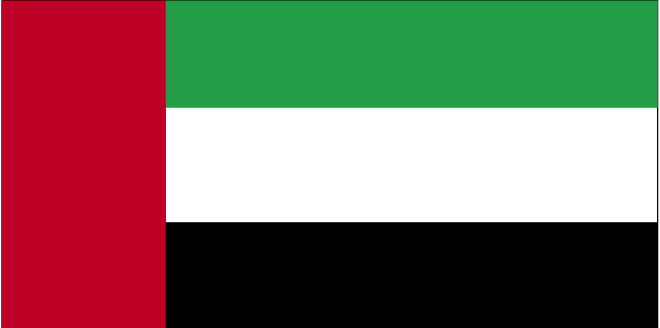 United Arab Emirates flag